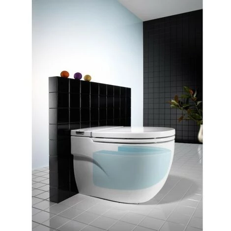 ROCA Wc Fs In-Tank Meridian-N - A893303000 2 ROCA Wc Fs In-Tank Meridian-N - A893303000 – Image 2