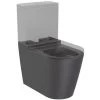 Roca Inspira Wc à Poser, Cuvette Sans Bride évacuation Universelle, Onyx (A342526640)